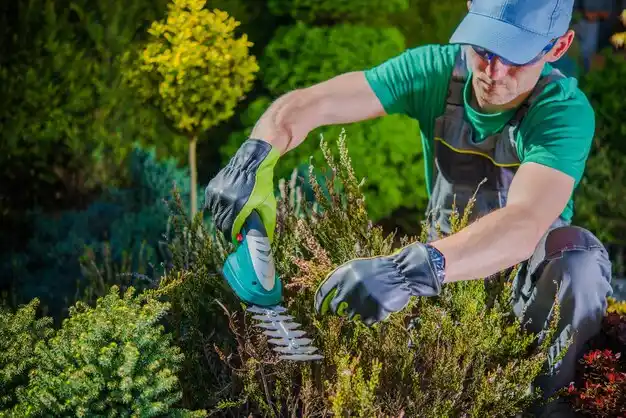 landscaping services Hampton Manor
